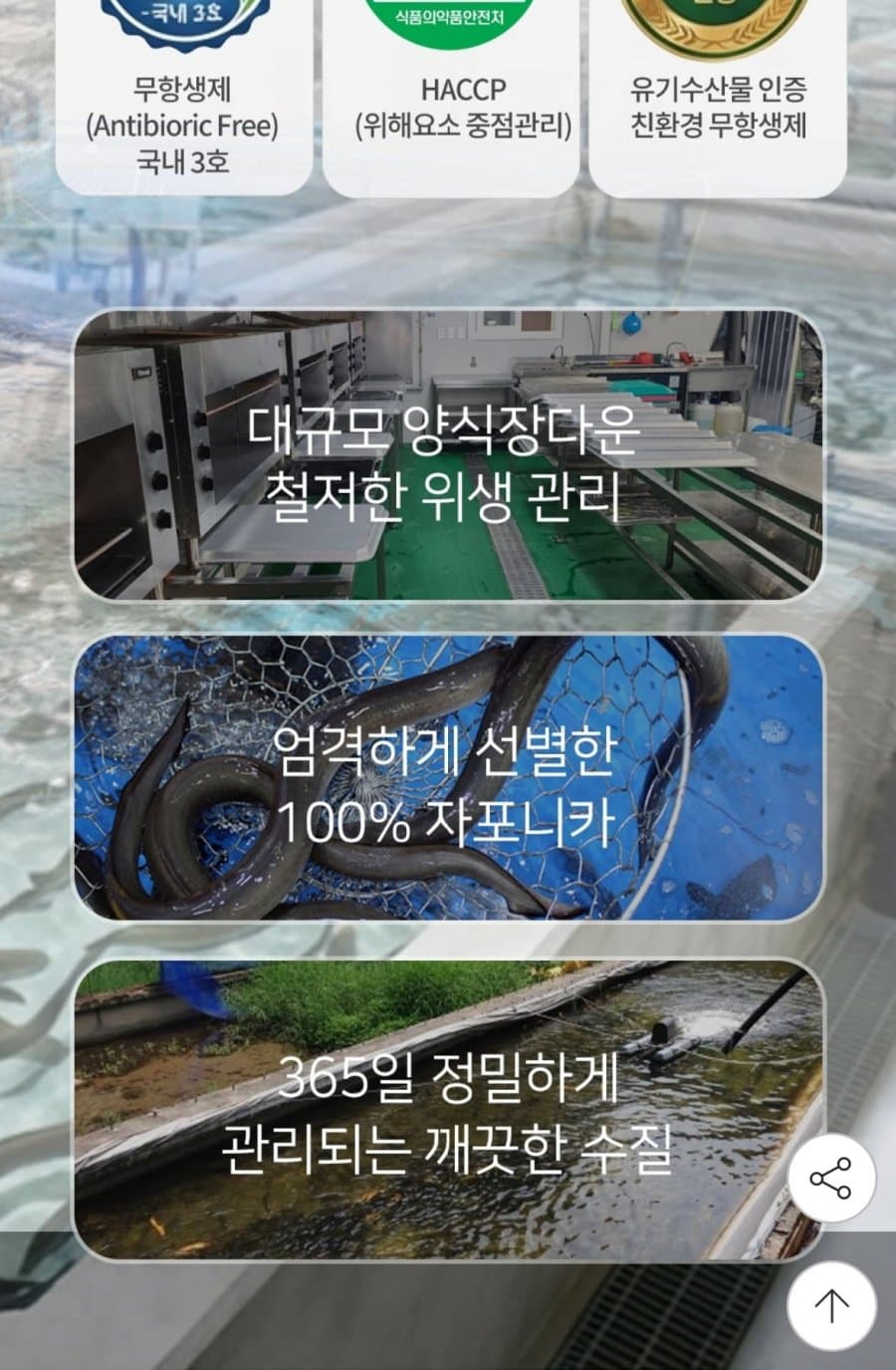 만복장어 손질 국내산 자포니카 1kg