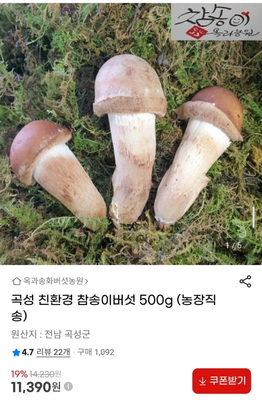 곡성 친환경 참송이버섯 500g