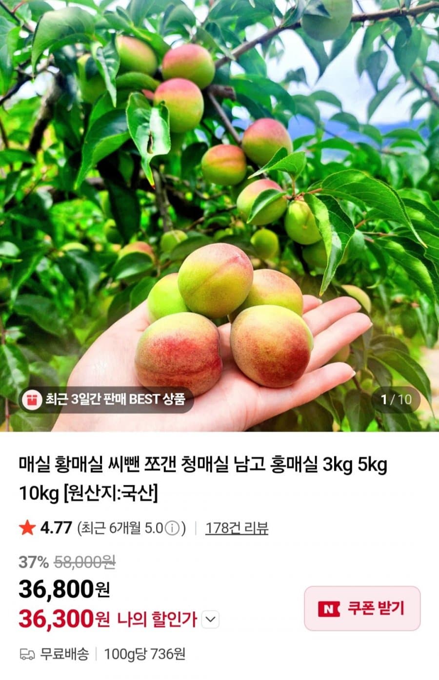 황매실 5kg