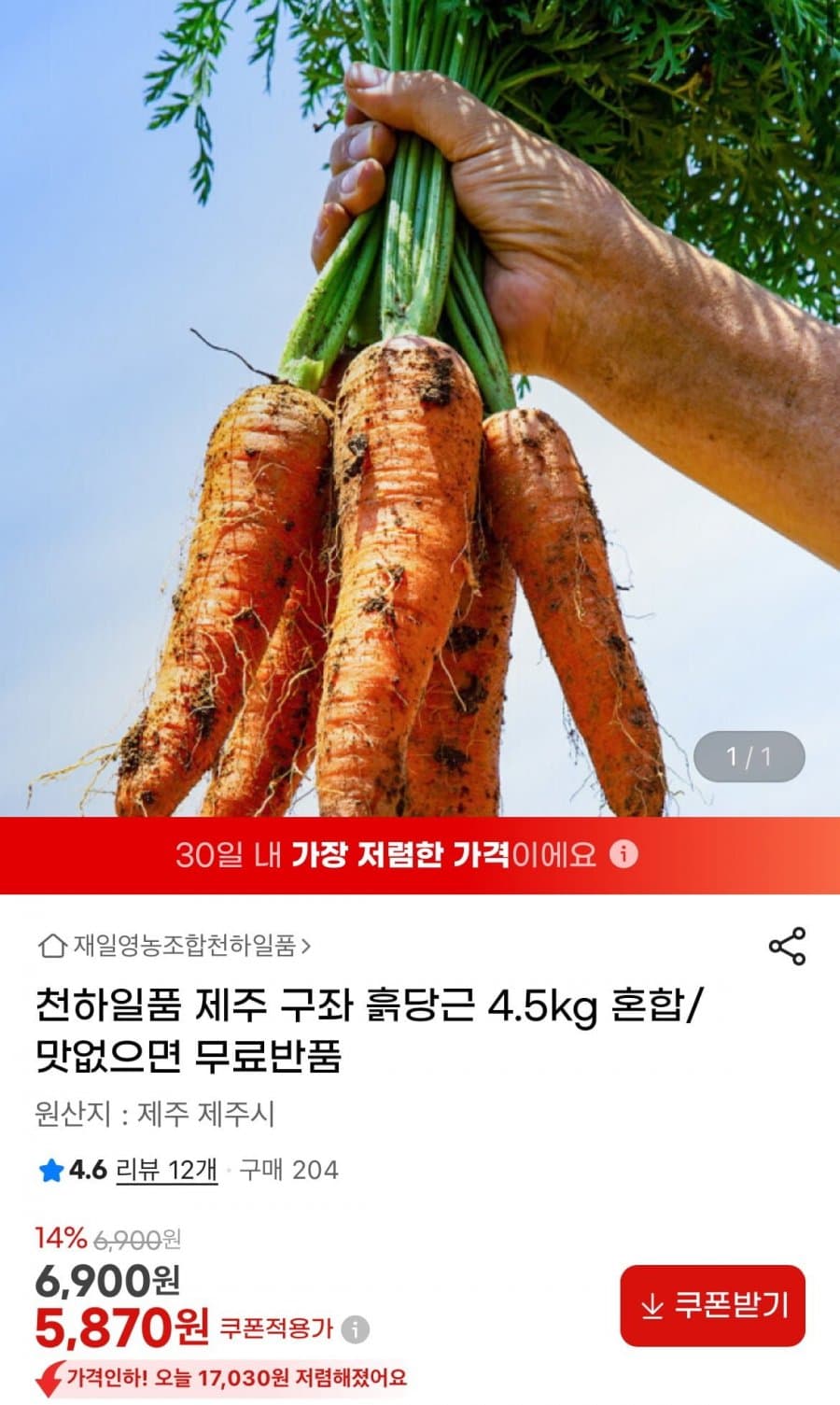 천하일품 제주 흙당근 4.5kg