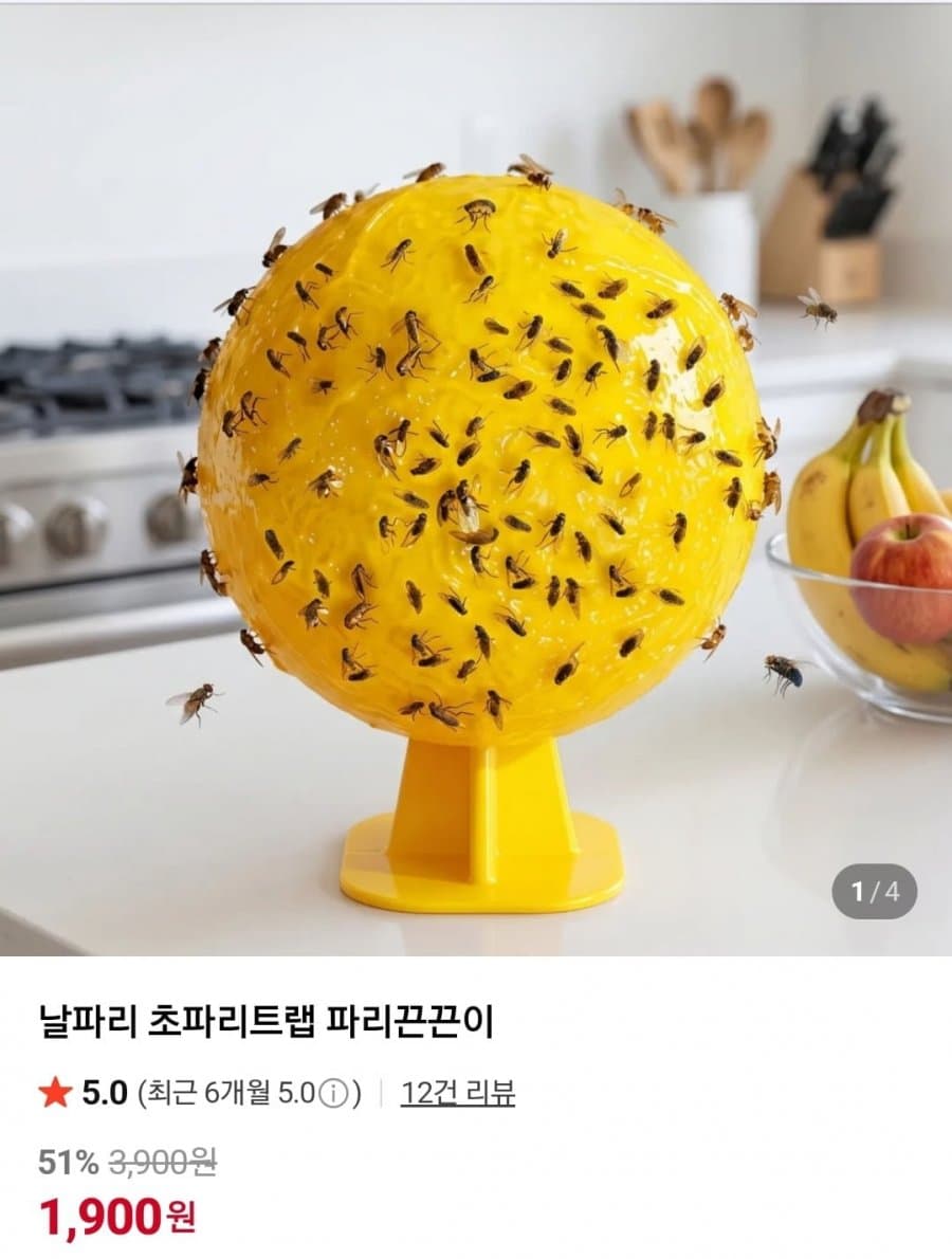 초파리 끈끈이 2개