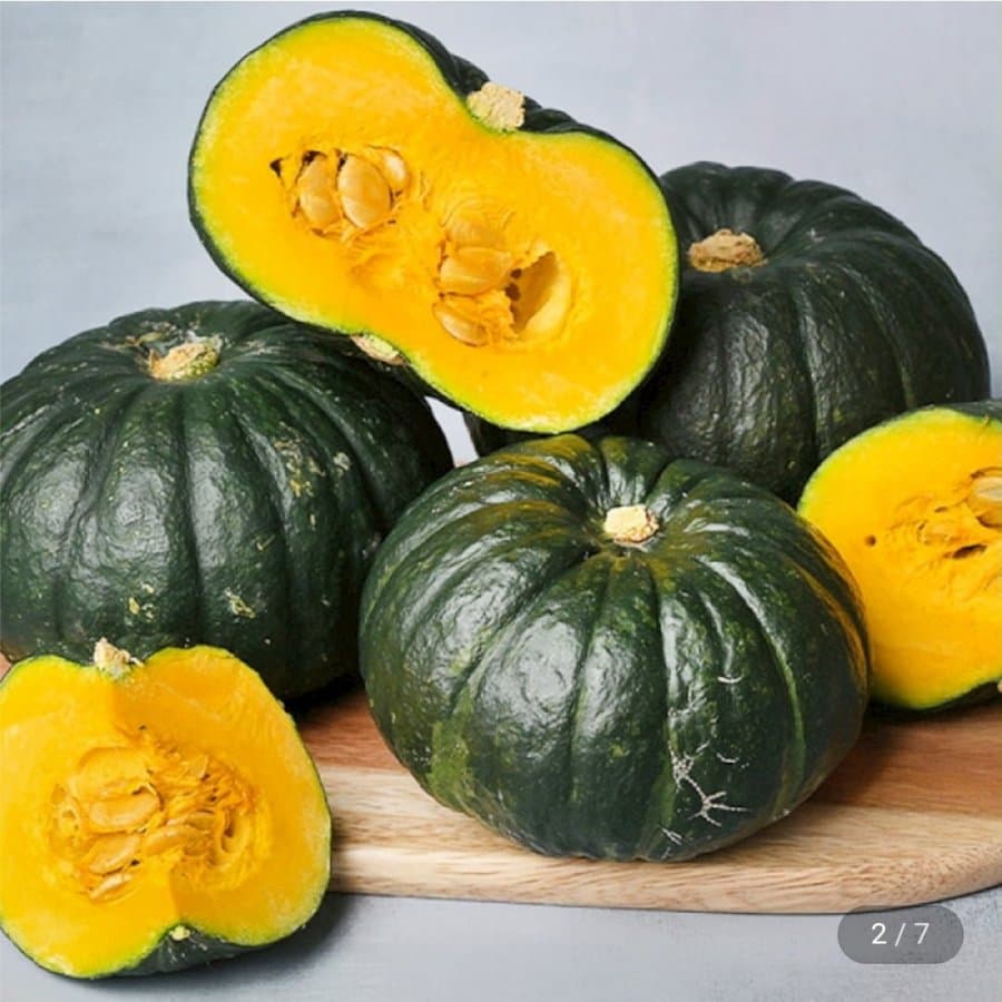서귀포in정 제주 미니단호박 2kg