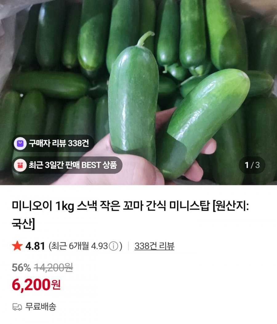 미니오이 1kg