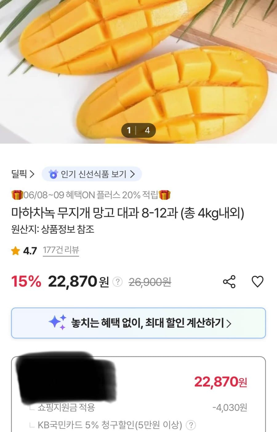 마하차논 무지개망고 대과