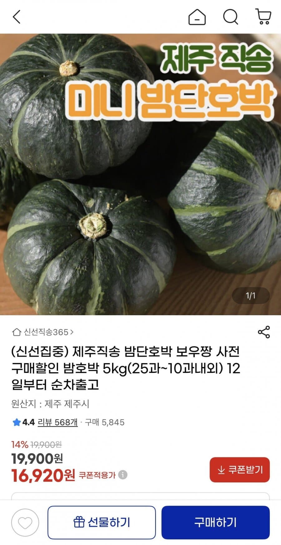제주 밤단호박 보우짱 5kg