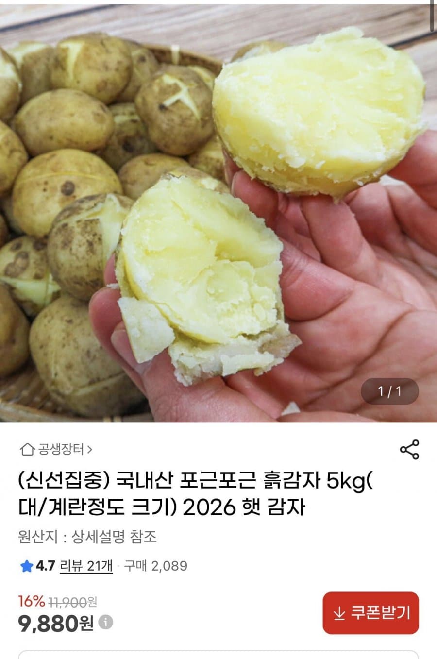 국내산 햇 흙감자 5kg