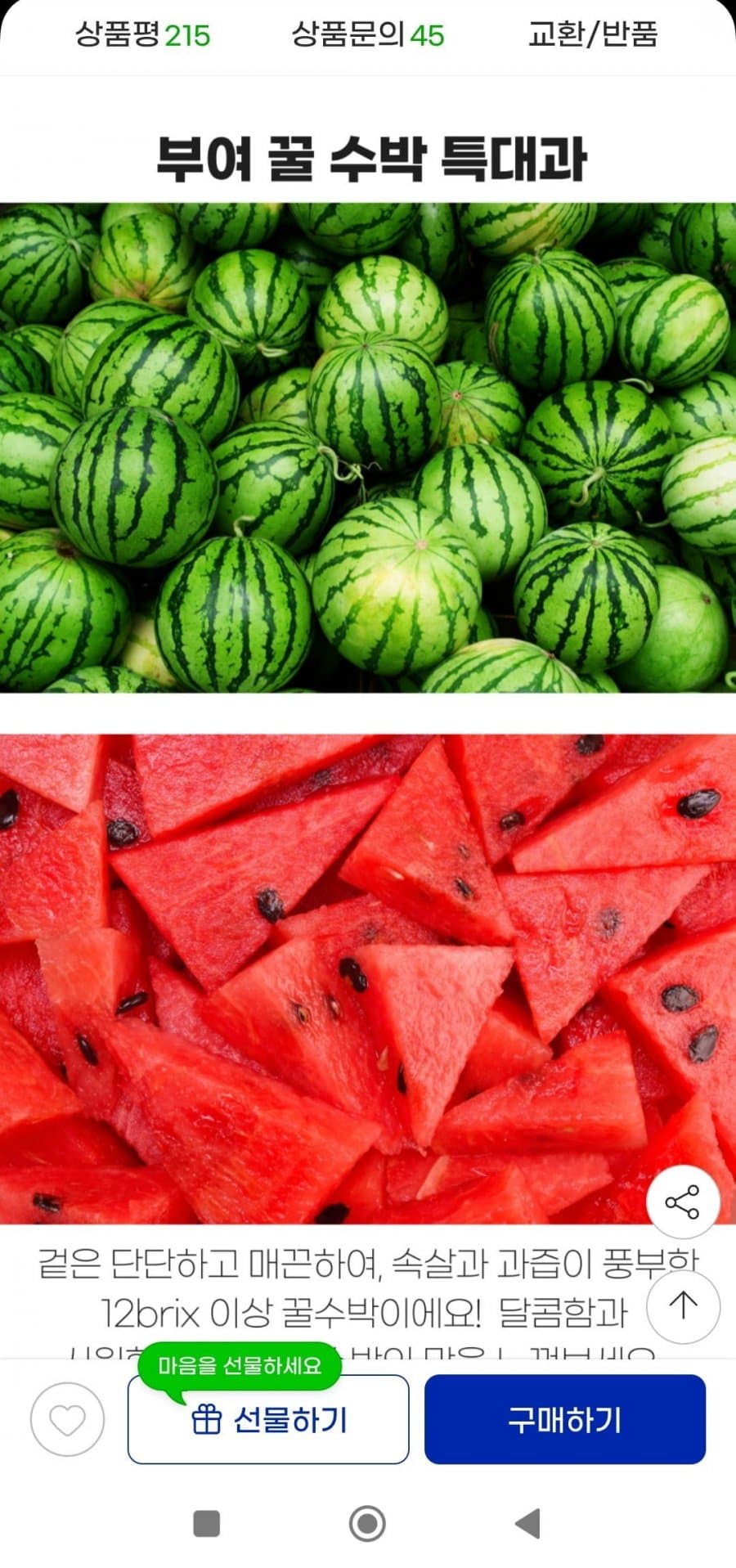 부여 꿀 수박 7-8kg