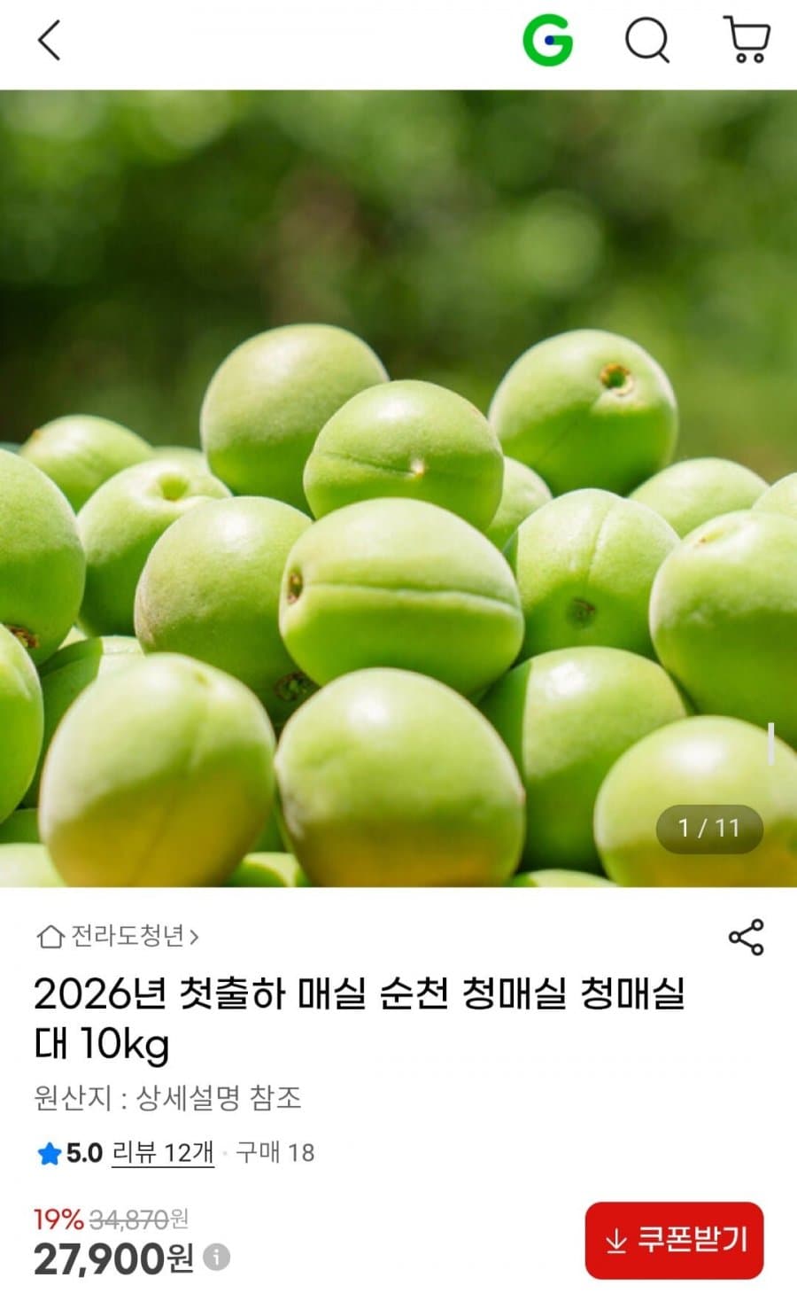 순천 청매실 10kg