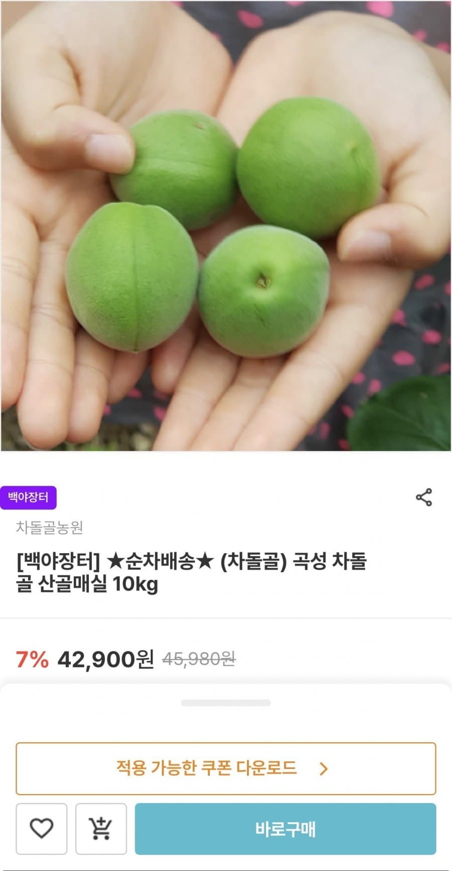 곡성 차돌골 산골매실 10kg