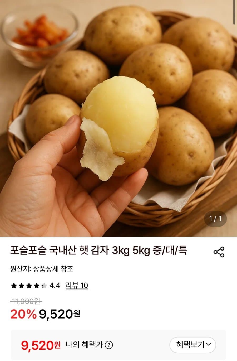 국내산 햇 감자 5kg