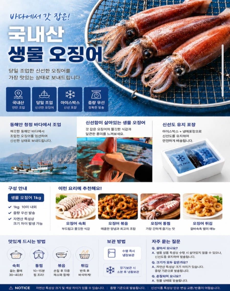 국내산 생물 오징어 1kg