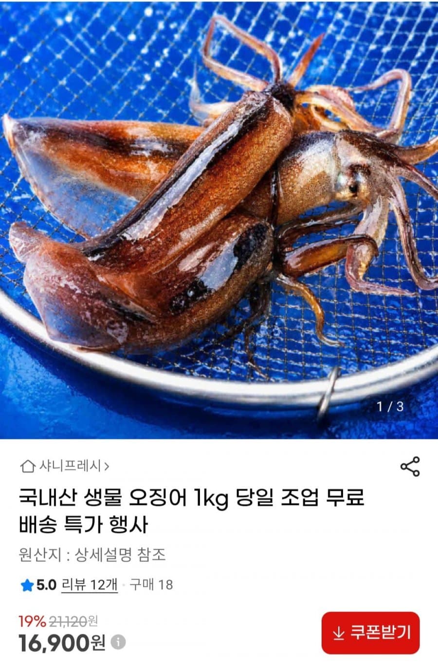 국내산 생물 오징어 1kg