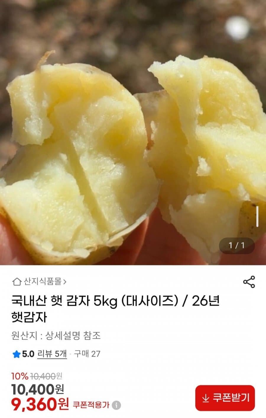 국내산 햇 감자 5kg