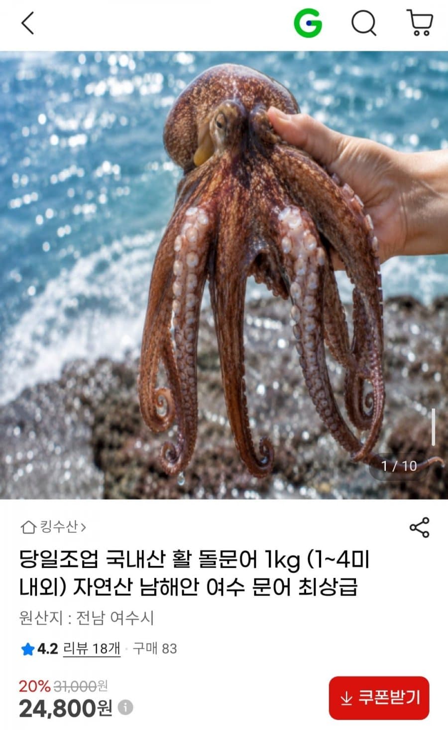 국내산 활 돌문어 1kg