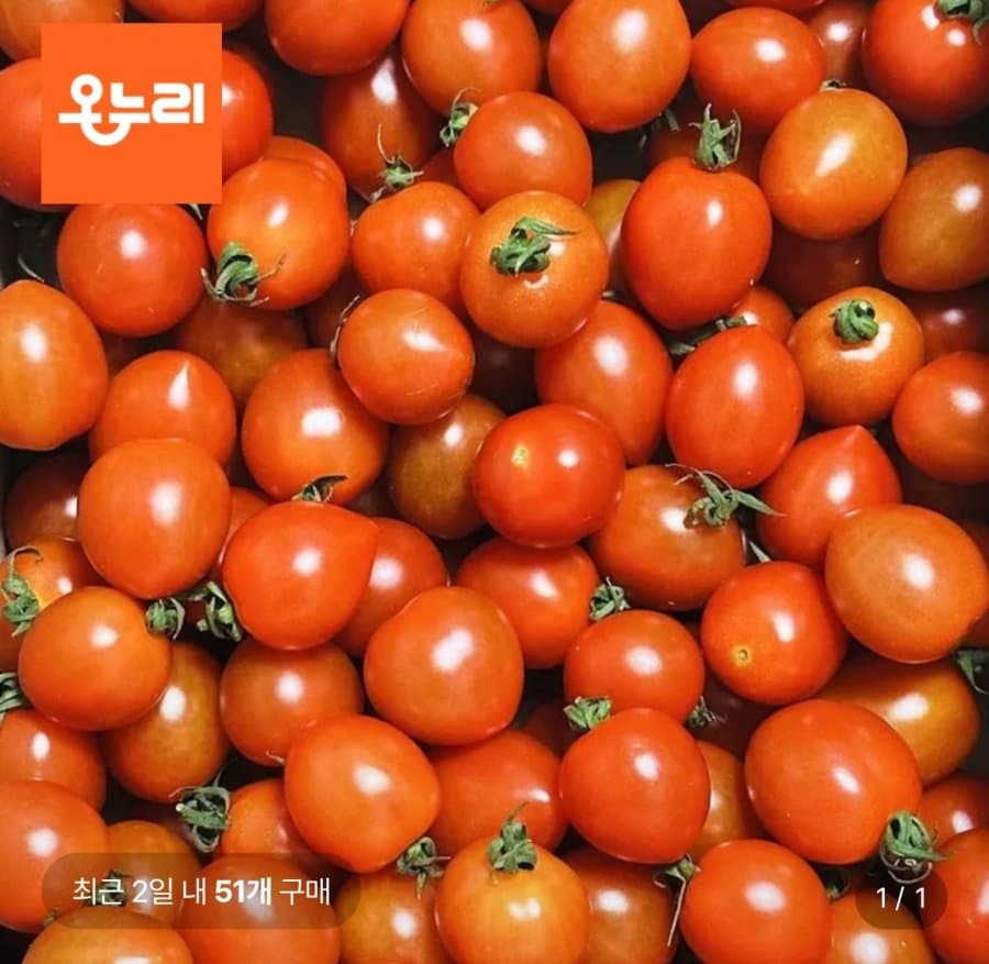 대추방울토마토 5kg