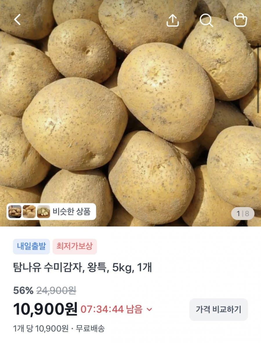 햇감자 왕특 5kg