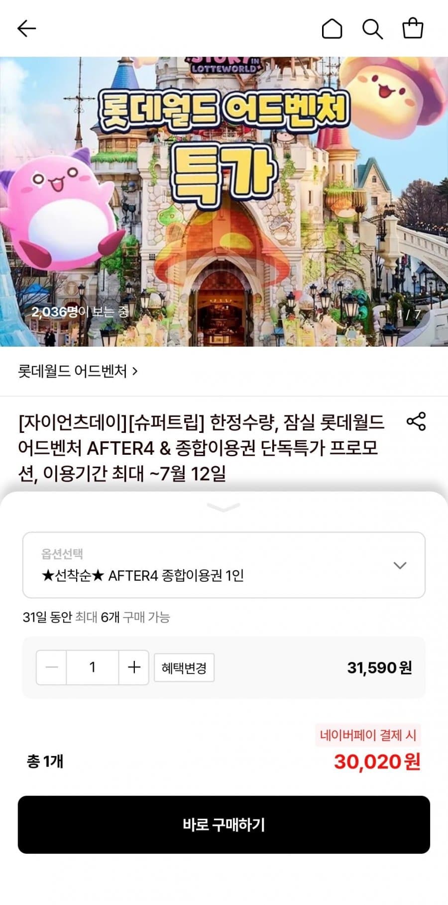 롯데월드 AFTER4 자유이용권