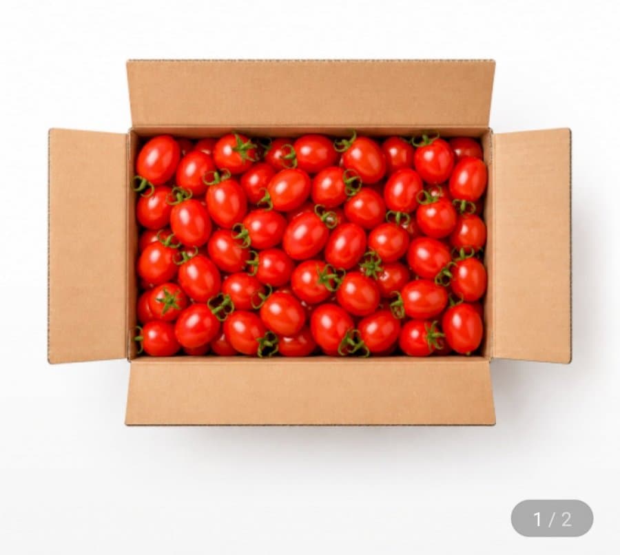 대추방울토마토 2kg