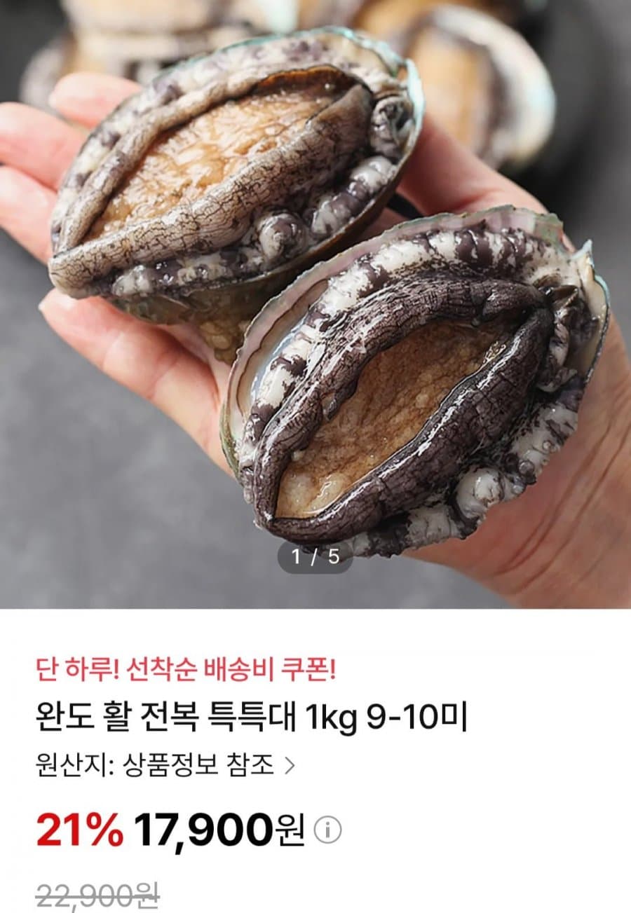 완도 활 전복 특특대 1kg