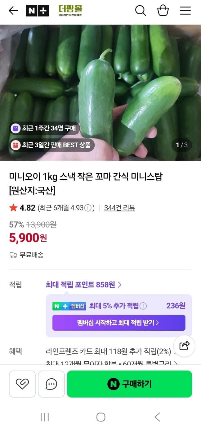 더팜몰 미니오이 1kg