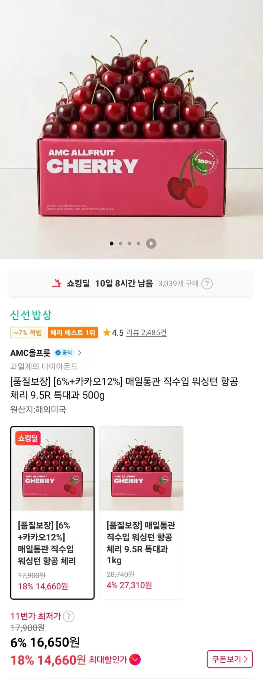 워싱턴 항공 체리 500g