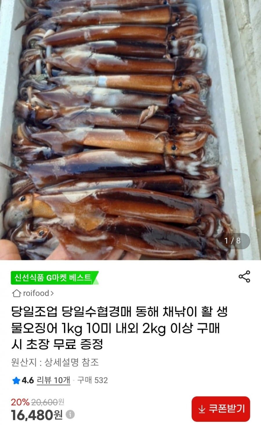 활 생물오징어 1kg
