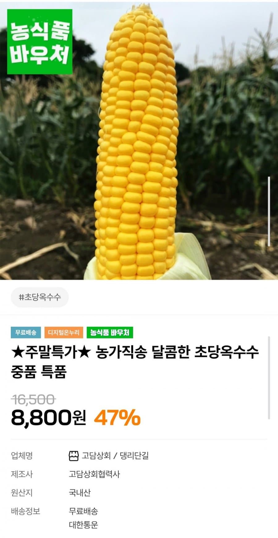 초당옥수수 5개