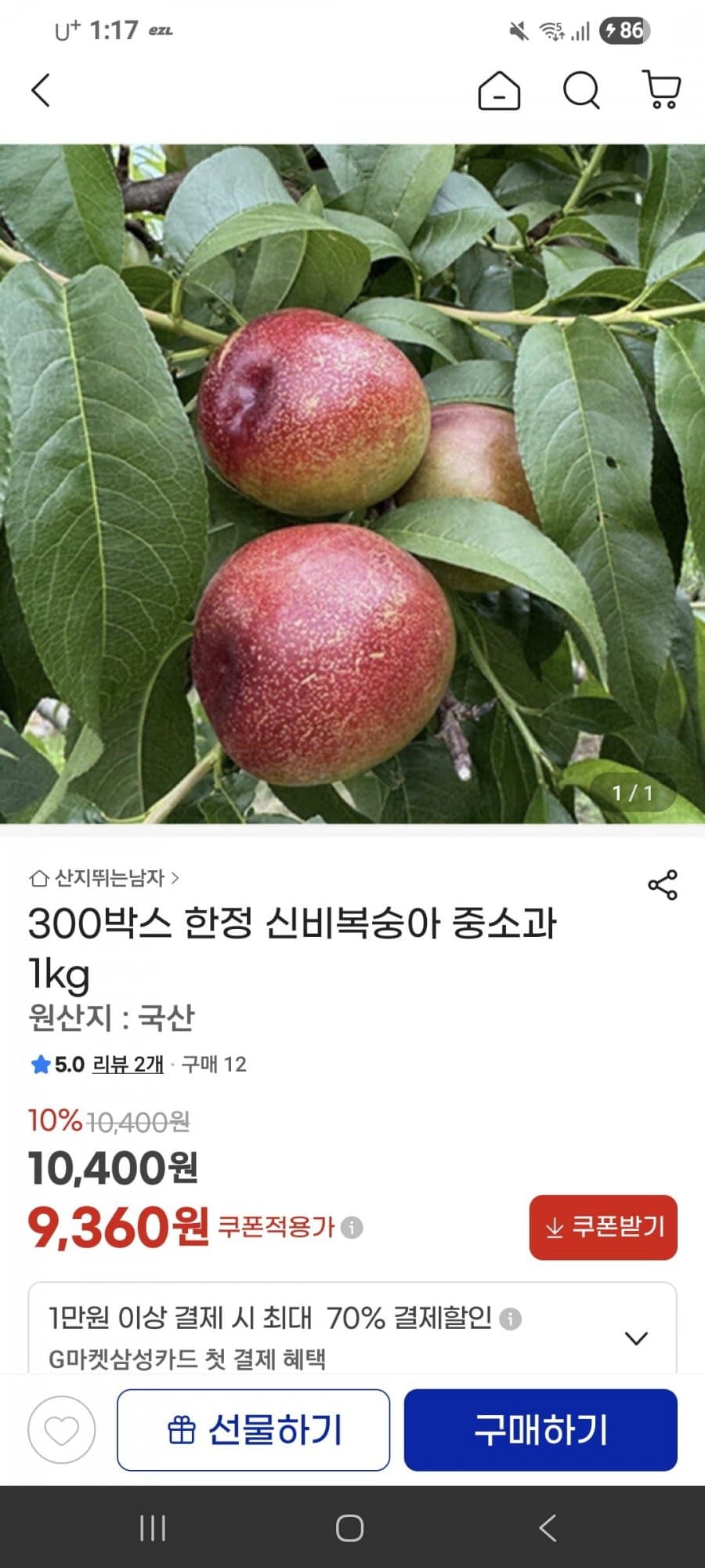 신비복숭아 중소과 1kg