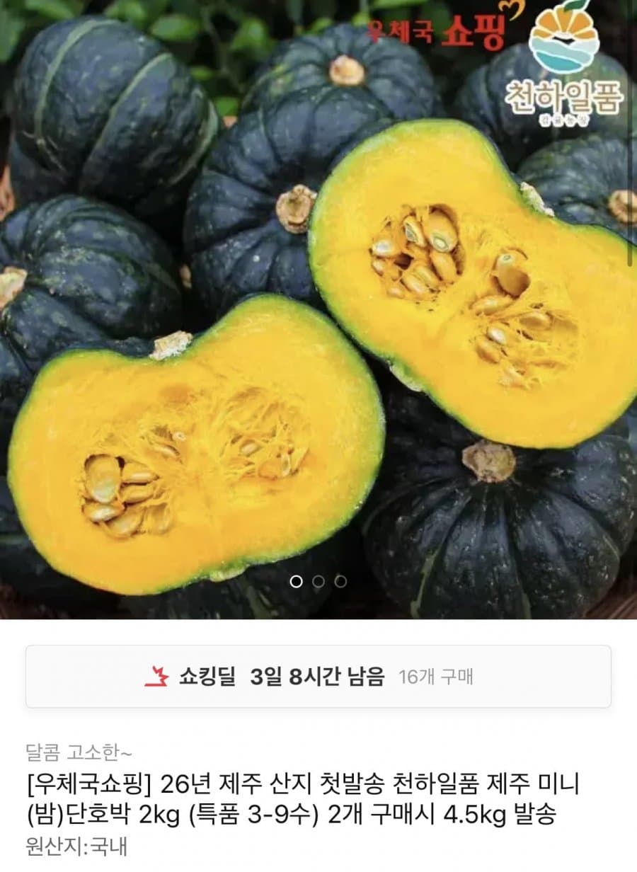 미니 단호박 2kg