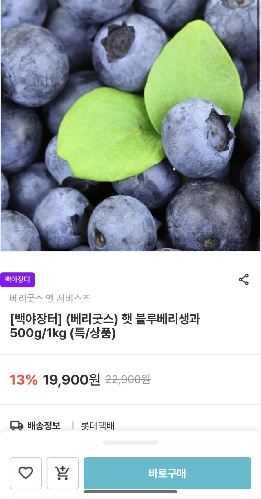 베리굿스 블루베리생과 500g