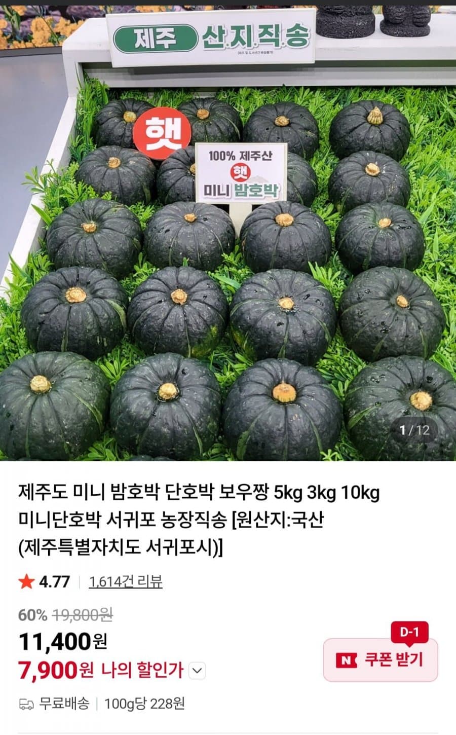 제주도 미니 밤호박 2kg