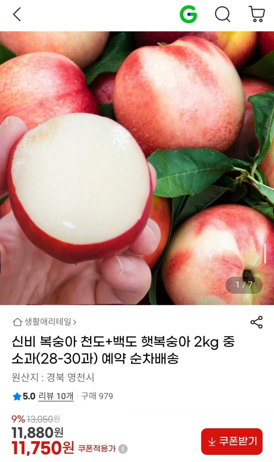 신비 복숭아 2kg