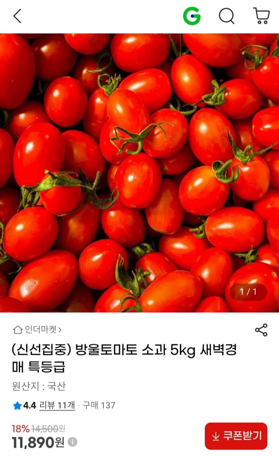 방울토마토 소과 5kg