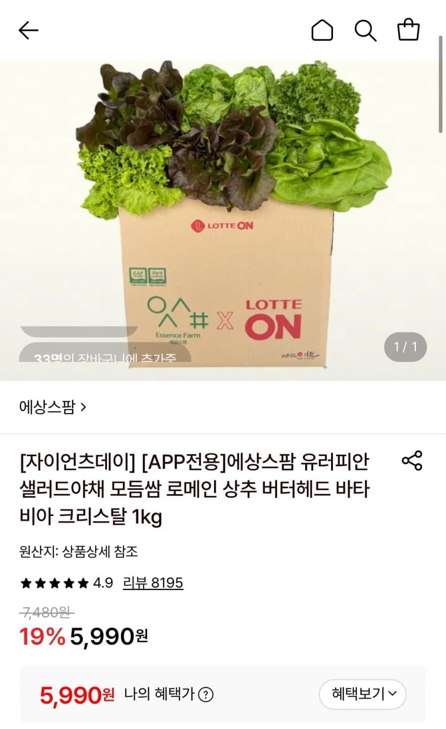 유러피안 샐러드 1kg