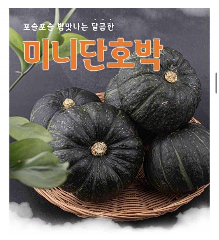 제주 미니단호박 1kg