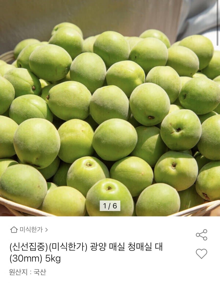 매실 대 사이즈 5kg