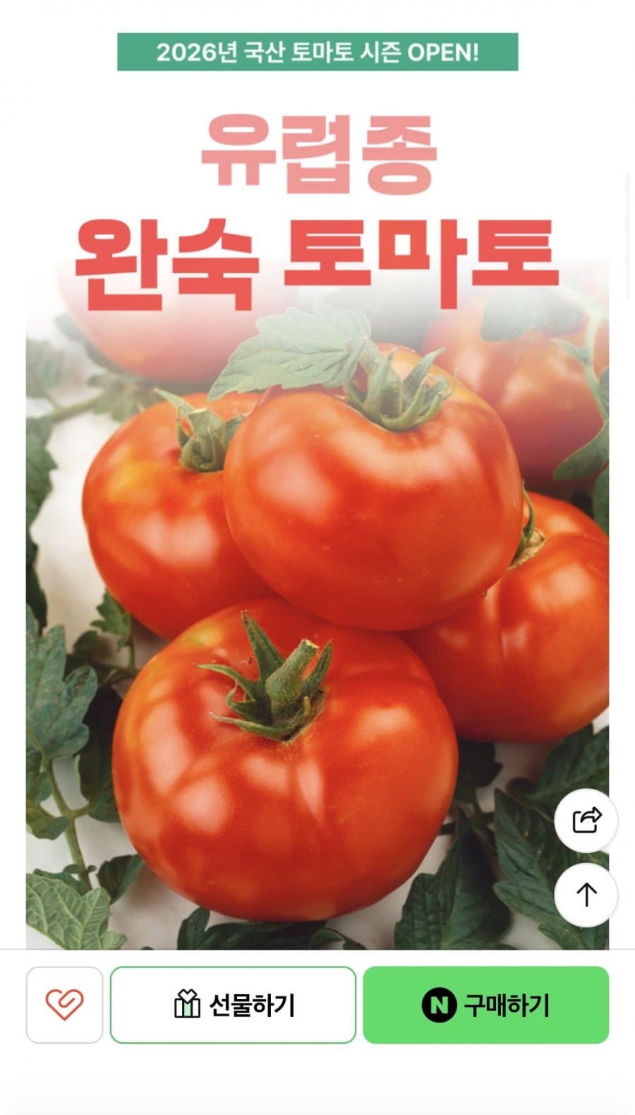 완숙토마토 5kg