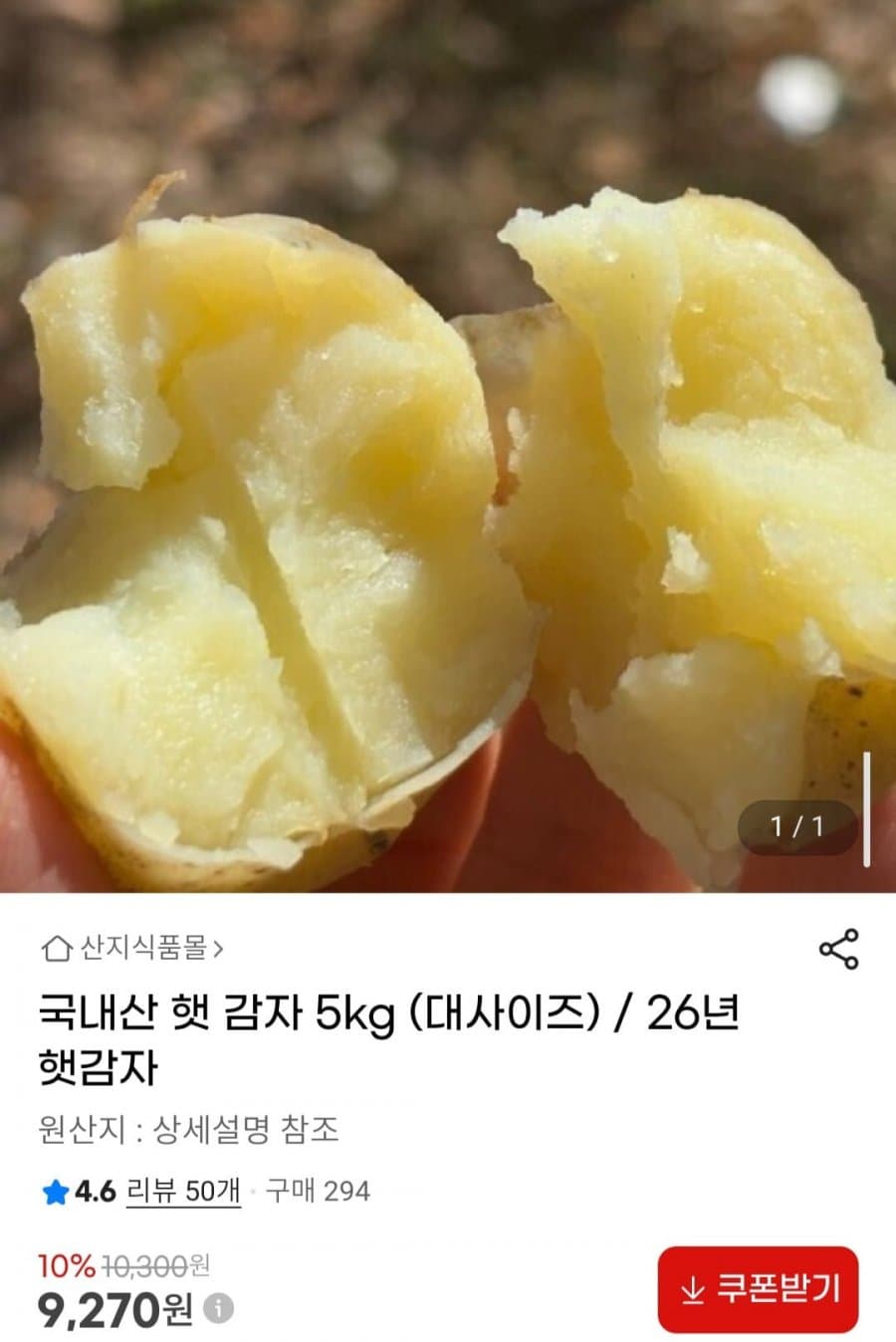국내산 햇 감자 5kg