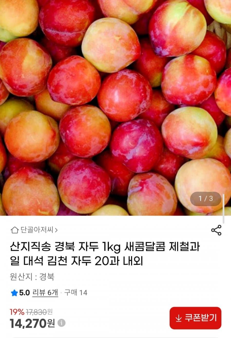 경북 자두 1kg