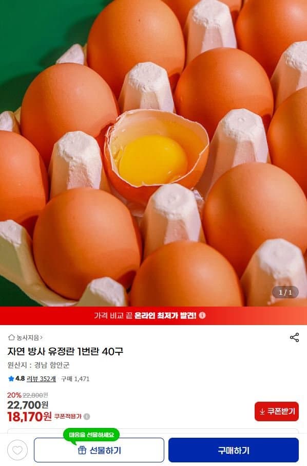 자연 방사 유정란 1번란 40구