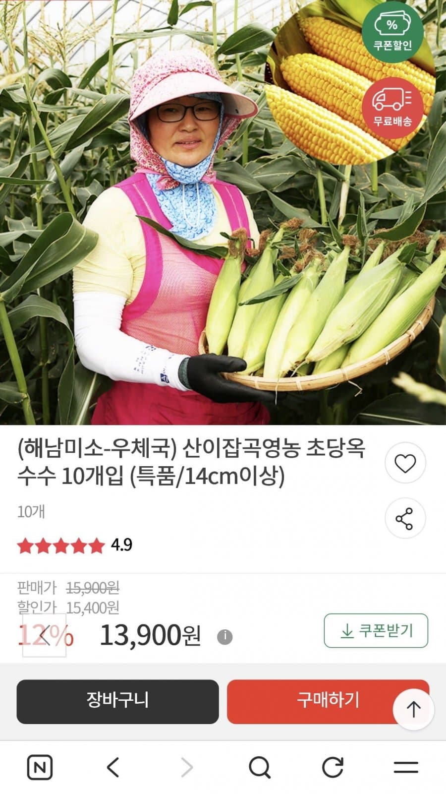 초당옥수수 특품 10개입