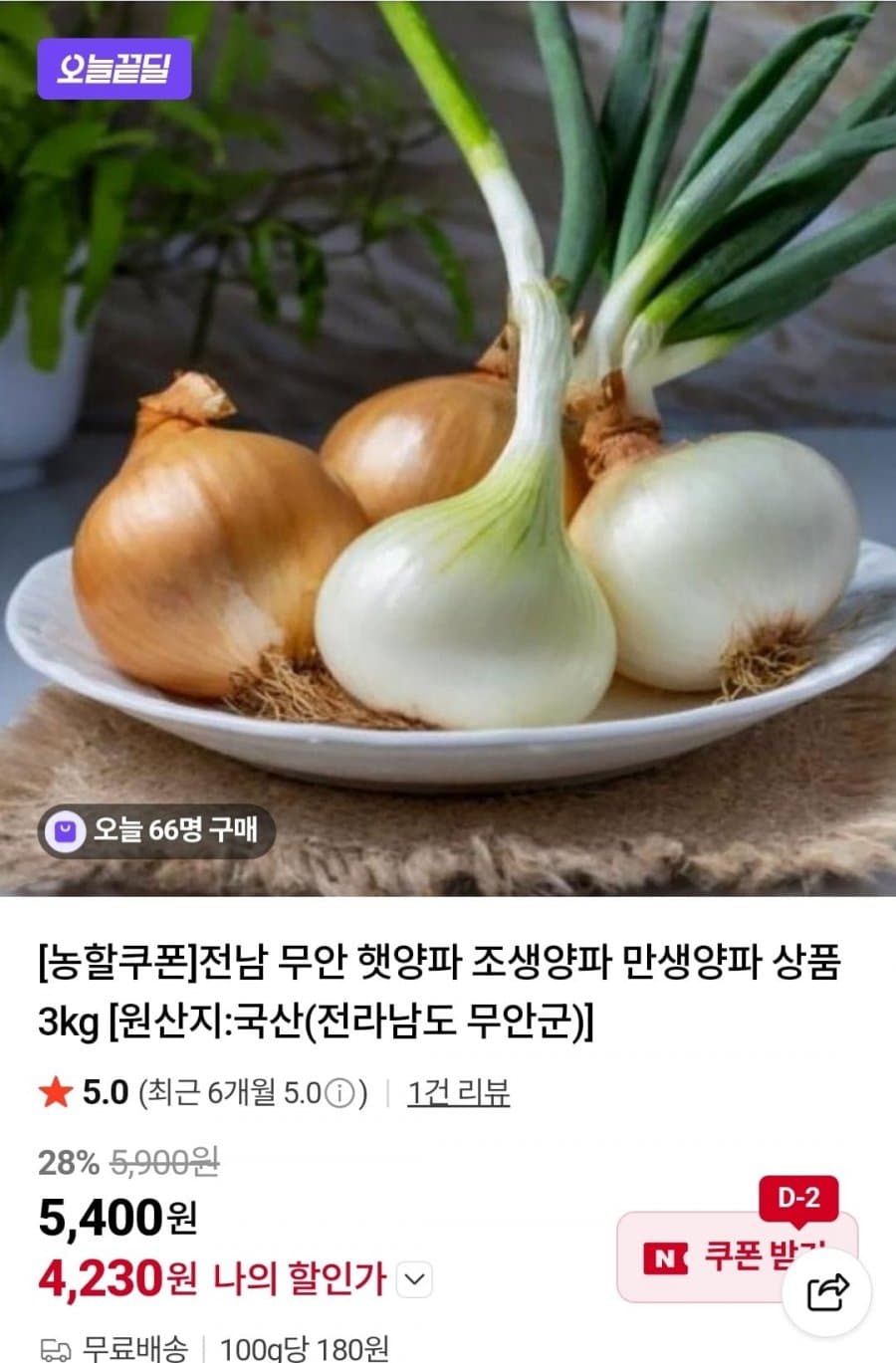 전남 무안 햇양파 3kg
