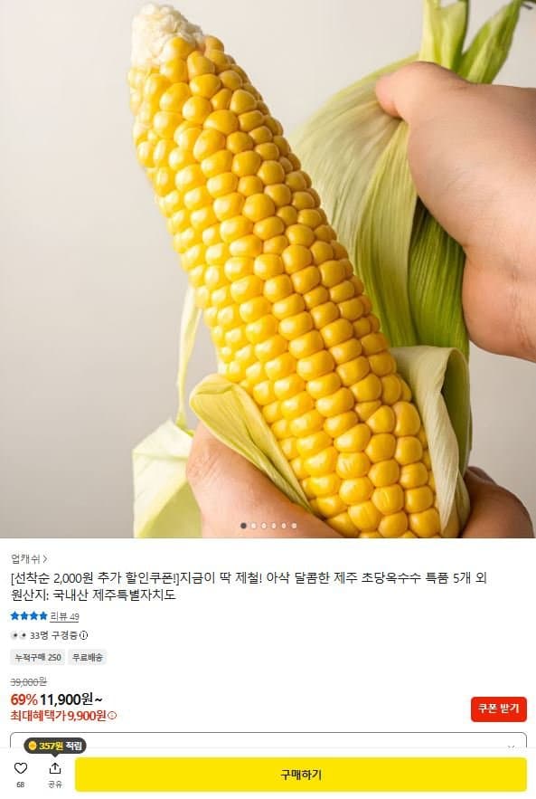 제주 초당옥수수 특품 5개