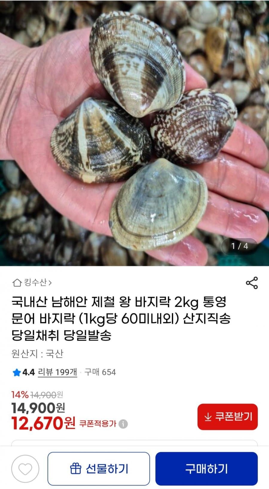남해안 왕 바지락 2kg