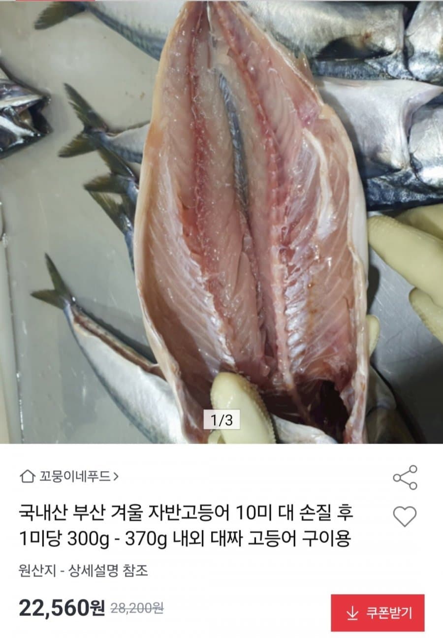 국내산 자반고등어 10미 대짜