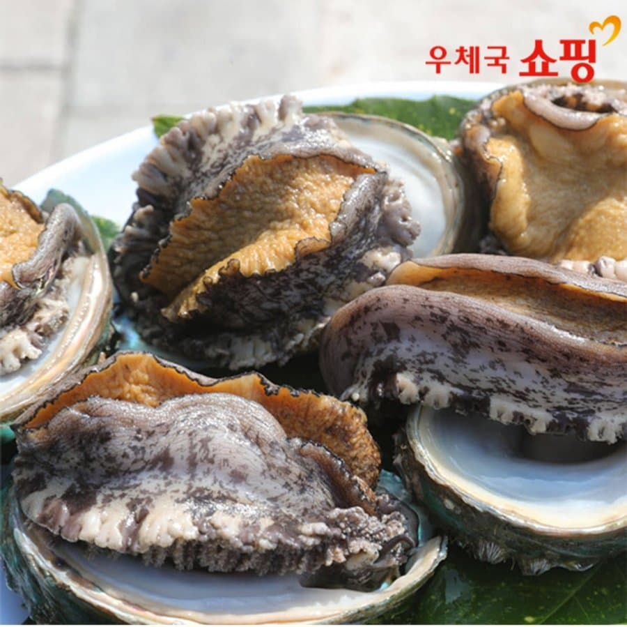완도 특대활전복 1kg