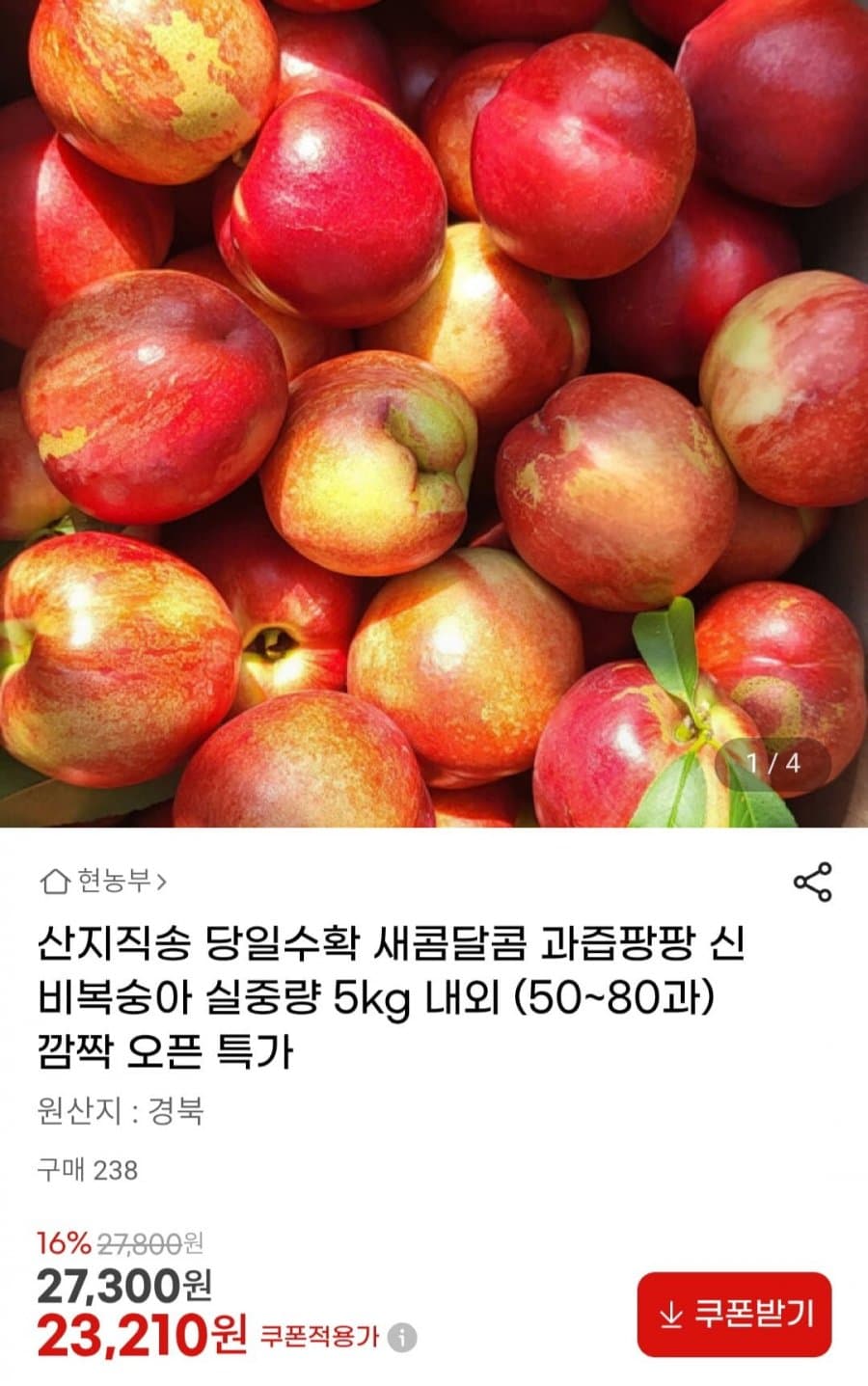 신비복숭아 5kg