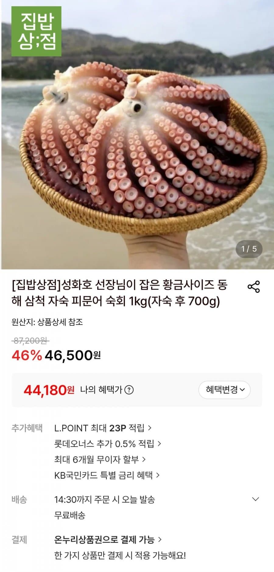동해 삼척 피문어 1kg