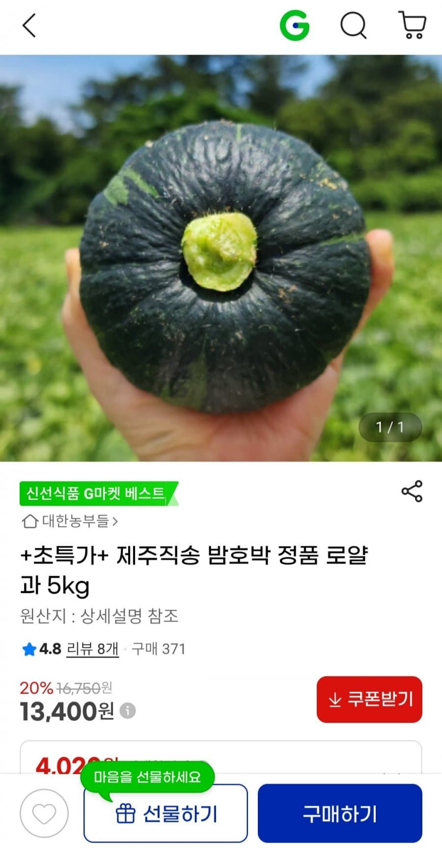 제주 밤호박 로얄과 5kg