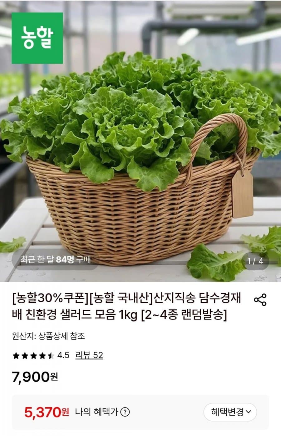 유러피안 샐러드 1kg